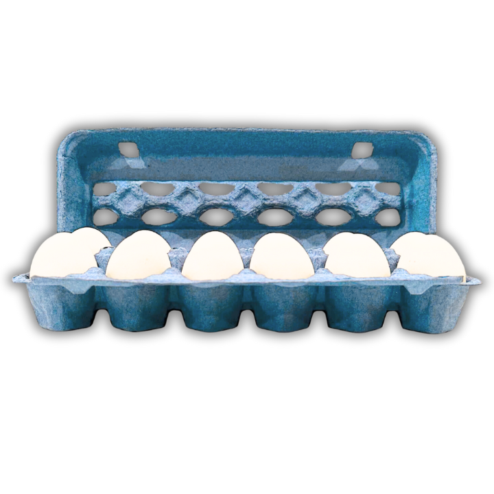 12 Egg Blue Cartons - Open View, in bulk, paper