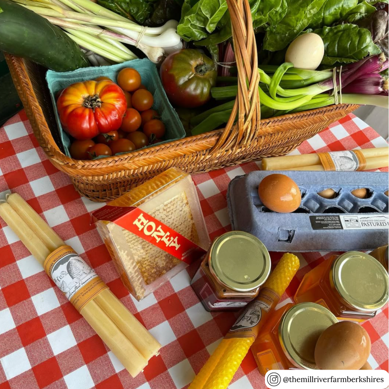 Unprinted blue egg carton with custom labeling, wholesale bulk egg packaging