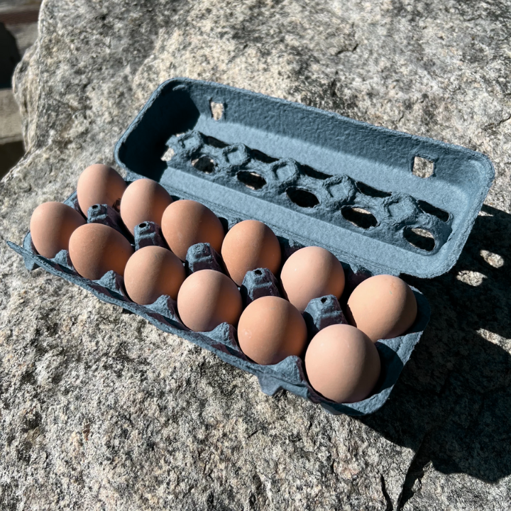 Blue unprinted pulp egg carton bulk wholesale pricing available
