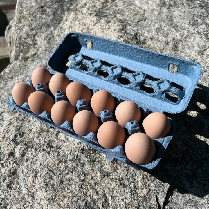 A blue open stock pulp 12-egg carton filled with brown eggs sitting on a rock