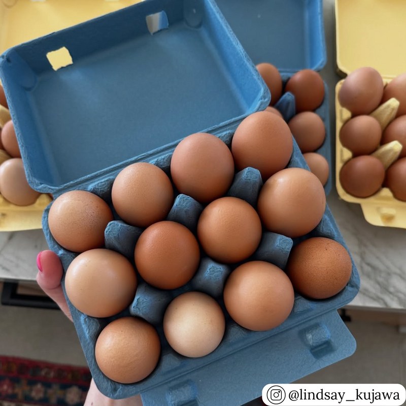 Blue and yellow blank pulp vintage 12-egg cartons, wholesale  unique egg packaging
