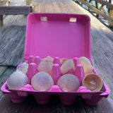 A 12-egg vintage pink pulp egg carton being used to organize sea shells on a boardwalk 