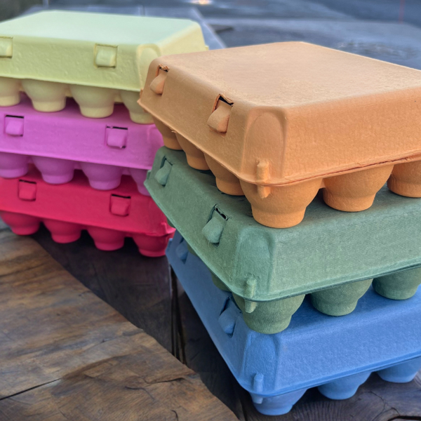 Vintage Egg Carton Colors 3x4