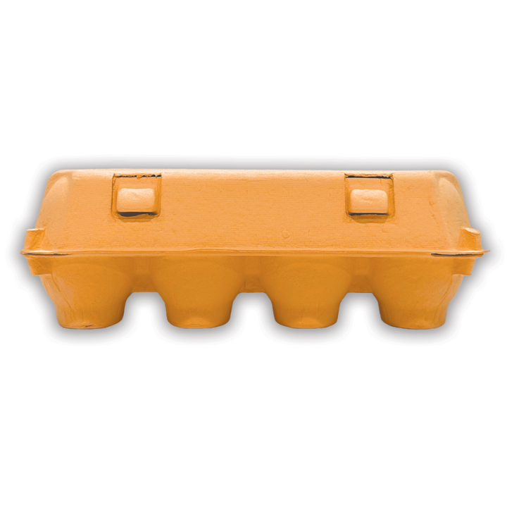 Vintage Egg Carton Colors 3x4