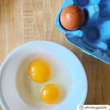 A plate of egg yolks and a blue paper pulp 6-egg egg carton with a brown egg in it.