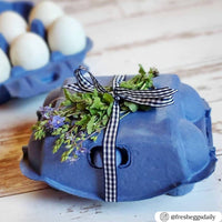 A blue unprinted pulp 6-egg carton  tied closed with a ribbon with herbs on top