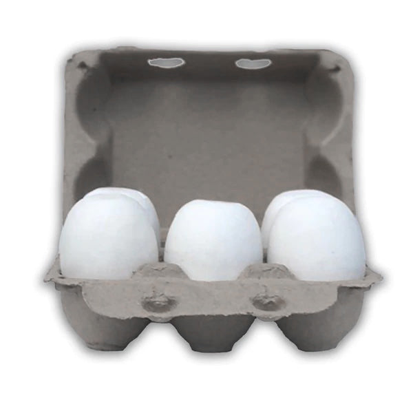 Pulp Goose Egg Carton, Half Dozen