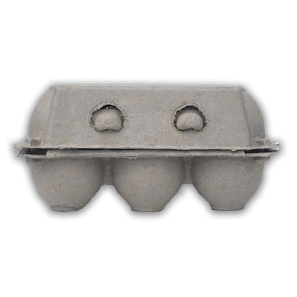 Pulp Goose Egg Carton, Half Dozen