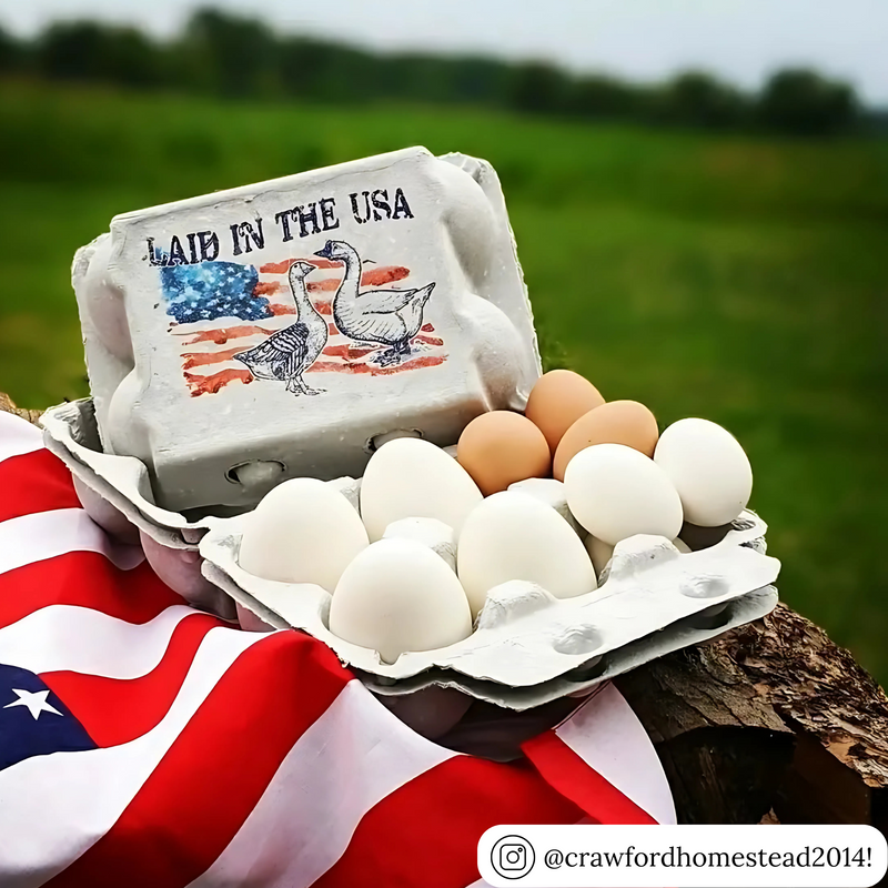 6-cell goose egg carton, blank natural pulp