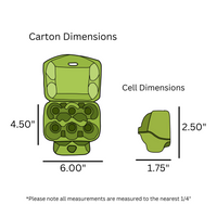 digital rendering, 6-egg lime carton dimensions