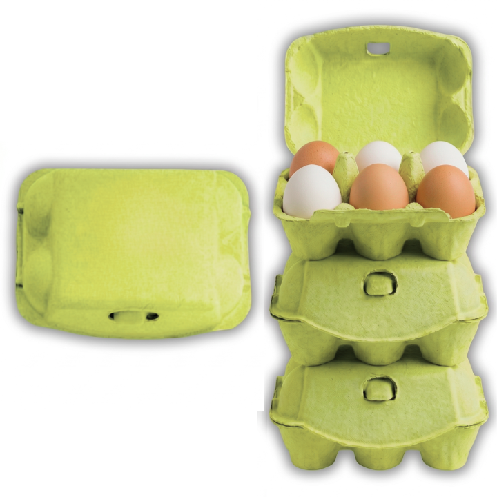 egg carton tackle box 6-Egg Carton Lime