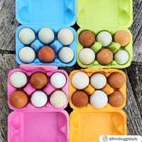 Four different colors, pink, blue, lime green filled with white and brown eggs, and orange, of a 6-egg paper pulp unprinted carton