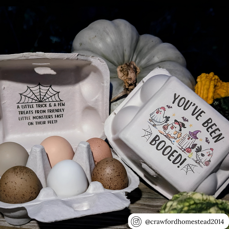 6-egg blank off-white pulp carton, custom printed packaging, wholesale pricing