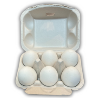 6-Egg Off-White filled with eggs