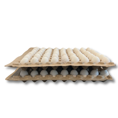 Egg Tray Filler Flat 81-Egg Quail filled with eggs stacked