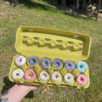 An open stock lime green pulp 12-egg carton used as pastry packaging with 12 frosted donuts in it. 