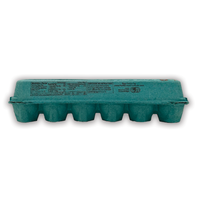 12-Egg Teal Printed