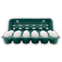 12-Egg Teal Printed