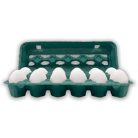 open view of a teal egg carton made of pulp, 12 eggs inside, 2x6 cells