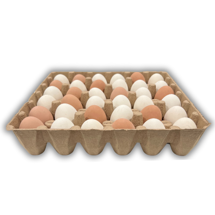 Egg Tray Filler Flat Natural paper pulp tray with 36 cells, side view filled with eggs