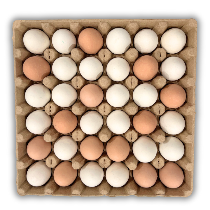 Egg Tray Filler Flat Natural paper pulp tray with 36 cells filled with eggs