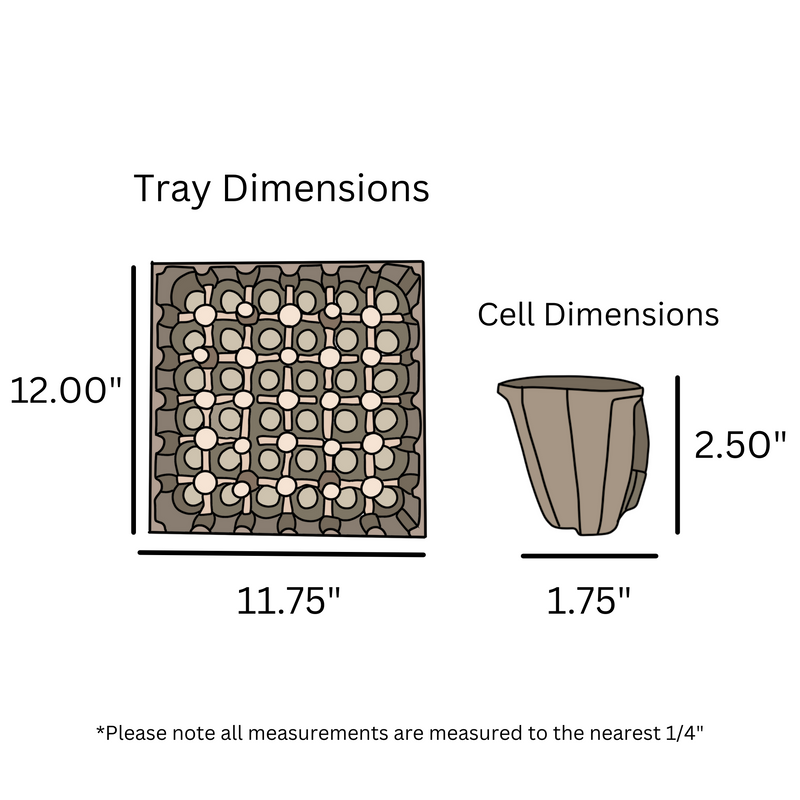Egg Tray Filler Flat digital rendering, 36 cell pulp egg tray 36 cell egg tray, 11.75" x 12.00"