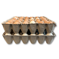 36-Egg - Walled filled with eggs stacked