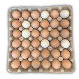 36-Egg - Walled filled with eggs