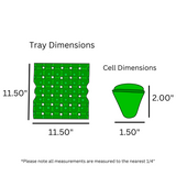 digital rendering, green plastic egg tray dimensions
