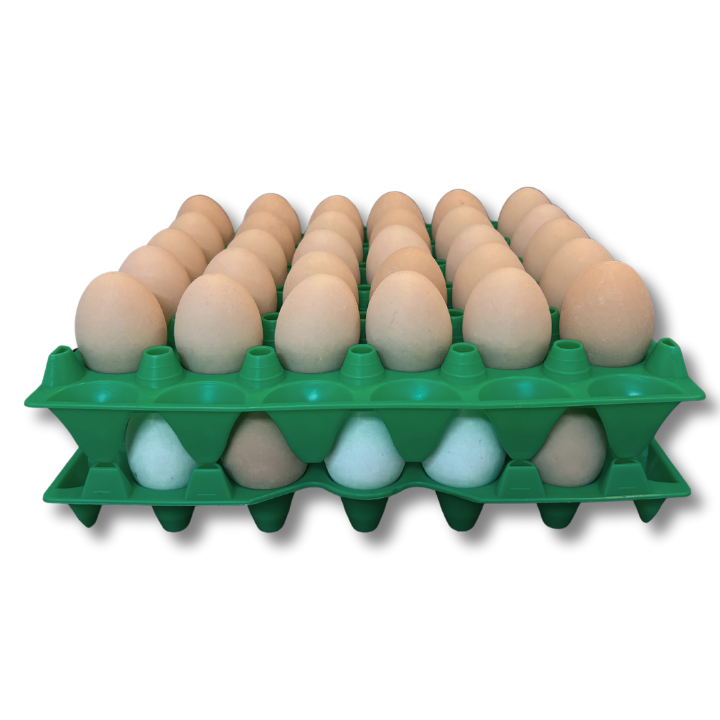 Egg Tray Filler Flat 30-Cell Stackable Green filled with eggs stacked