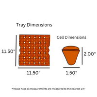 digital rendering of 30-cell stackable tray dimensions