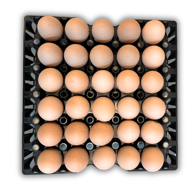 Egg Tray Filler Flat 30-Cell Washable Black filled with eggs