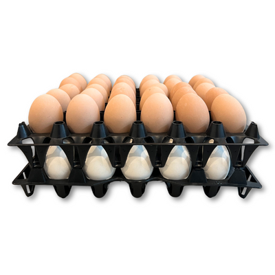Egg Tray Filler Flat 30-Cell Washable Black filled with eggs stacked