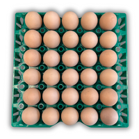 30-Cell Washable Green filled with eggs