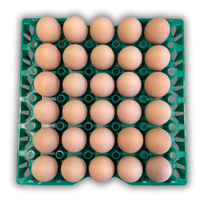 Egg Tray Filler Flat 30-Cell Washable Green filled with eggs