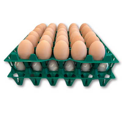 Egg Tray Filler Flat 30-Cell Washable Green filled with eggs stacked