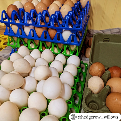 30-cell green plastic washable egg trays filler flats