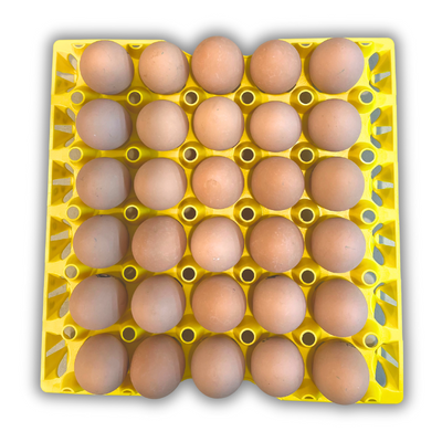 Egg Tray Filler Flat 30-Cell Washable Yellow filled with eggs
