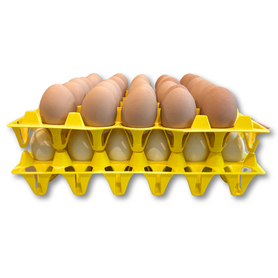 Egg Tray Filler Flat 30-Cell Washable Yellow filled with eggs stacked