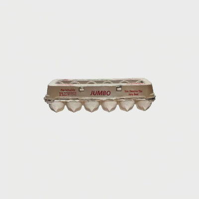 jumbo printed pulp 12-egg carton 360 video