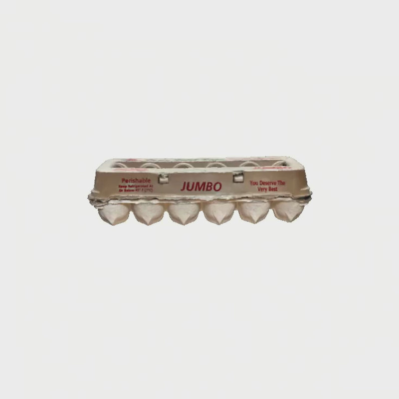 jumbo printed pulp 12-egg carton 360 video
