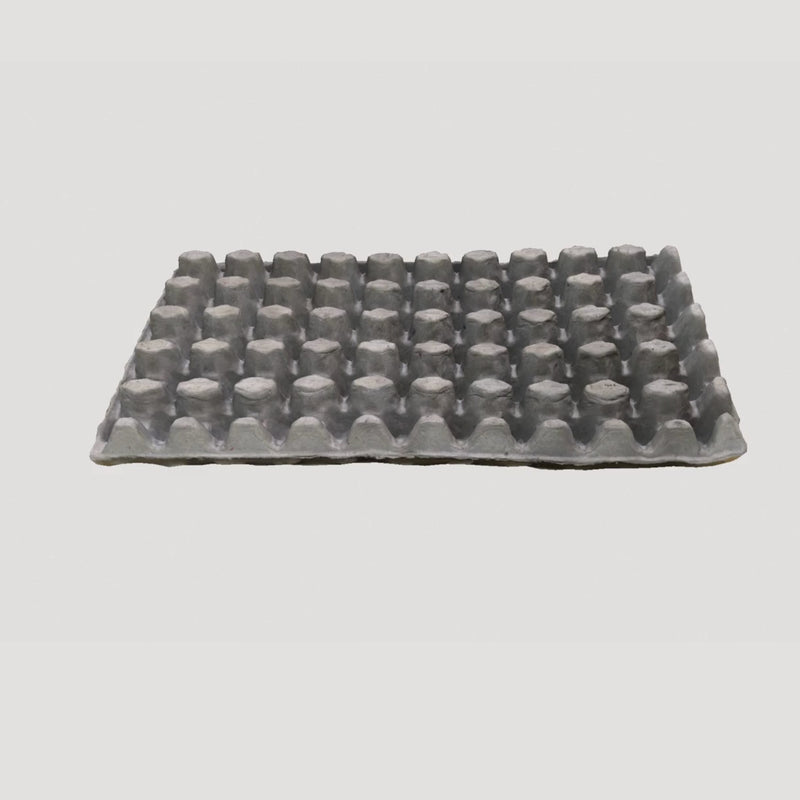 Egg Tray Filler Flat 50 quail egg tray natural recyclable pulp 360 video