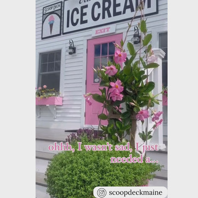 Product video showcasing a unique packaging solution for ice cream flights using pink egg cartons
