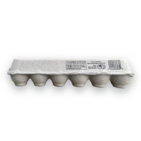 12-Egg Flat Top Pulp