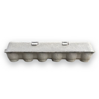12-Egg Flat Top Pulp