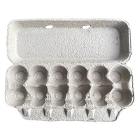 12-Egg Flat Top Pulp
