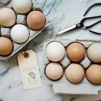 lifestyle image - one of our customers displays our product beautifully with her own eggs!