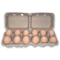 open view, 6 egg split - can hold up to 12 eggs, blank pulp, unprinted
