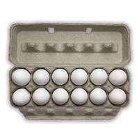 12-Egg Stock Closed