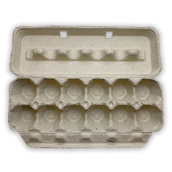 Empty Carton Of Eggs empty-carton-of-eggs